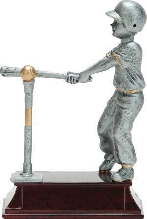 55829gs-medium.jpg