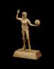 Gold Volleyball Signature Resin 