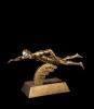 Gold Mens Swimming Signature Resin